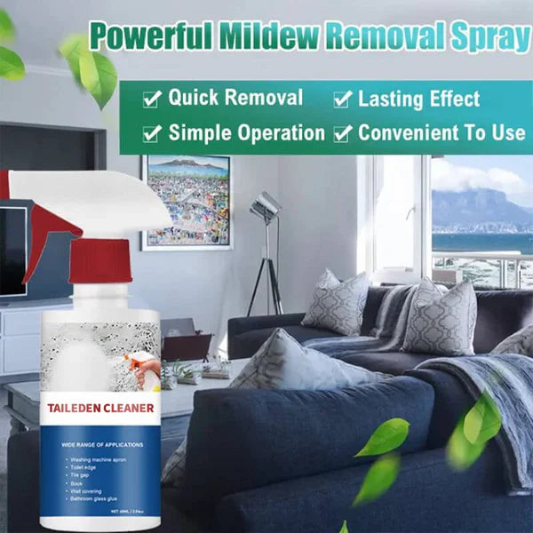 Mildew Remover Foam Pro