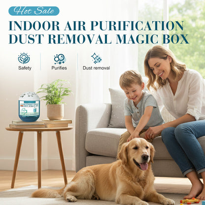 🔥2026 New Coming - Special Offer⏰Indoor Air Purification Dust Removal Magic Box🏠Bringing health to family👵👶