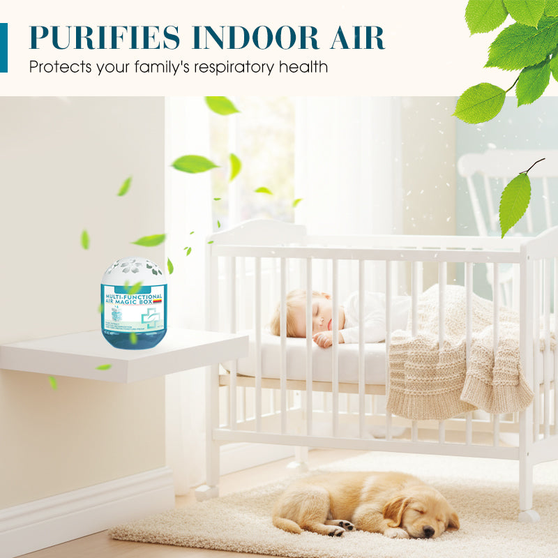 🔥2026 New Coming - Special Offer⏰Indoor Air Purification Dust Removal Magic Box🏠Bringing health to family👵👶