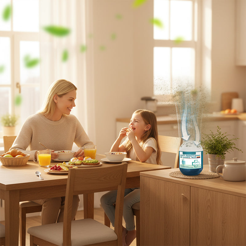 🔥2026 New Coming - Special Offer⏰Indoor Air Purification Dust Removal Magic Box🏠Bringing health to family👵👶